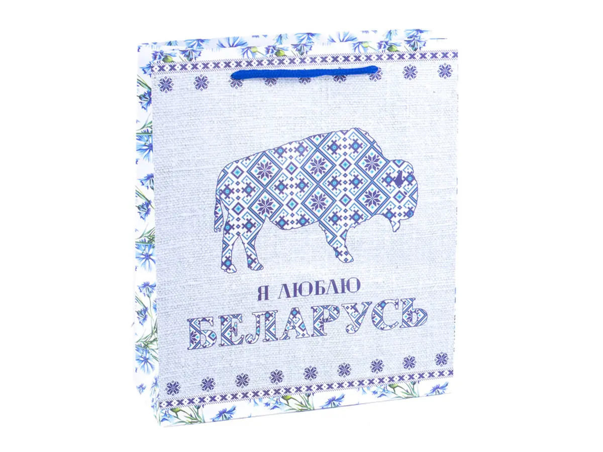 ПАКЕТ ДЛЯ ПОДАРКОВ бумажный "Зубр", 23*27*8 см (арт. 25553948, код 160761)