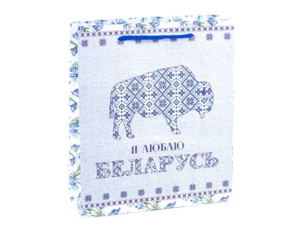 ПАКЕТ ДЛЯ ПОДАРКОВ бумажный "Зубр", 23*27*8 см (арт. 25553948, код 160761)