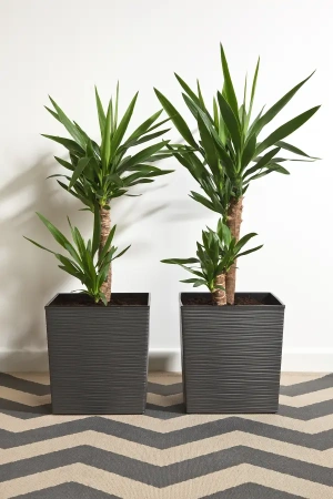 КАШПО пластмассовое "Juka dluto" графитовое 25*25*25 см (арт. LA599-50, код 505999)