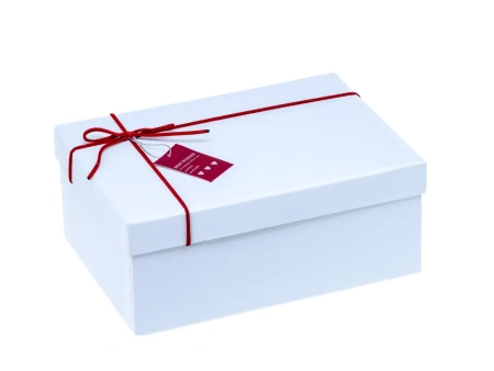 КОРОБКА ДЛЯ ПОДАРКА картонная 23*16*9 см (арт. LPHTZ01-3, код 274642)