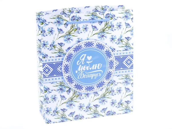 ПАКЕТ ДЛЯ ПОДАРКОВ бумажный "Васильки", 23*27*8 см (арт. 25553942, код 160709)